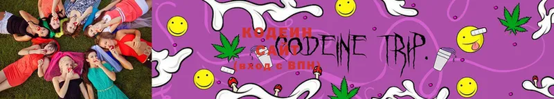 Кодеин Purple Drank  продажа наркотиков  Горняк 