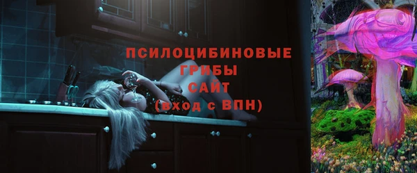 марки lsd Белокуриха