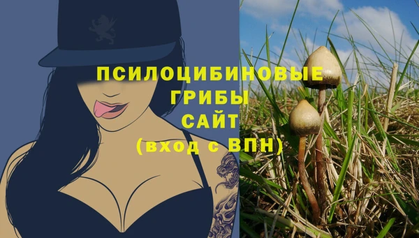 марки lsd Белокуриха