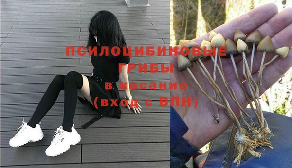 спиды Беломорск