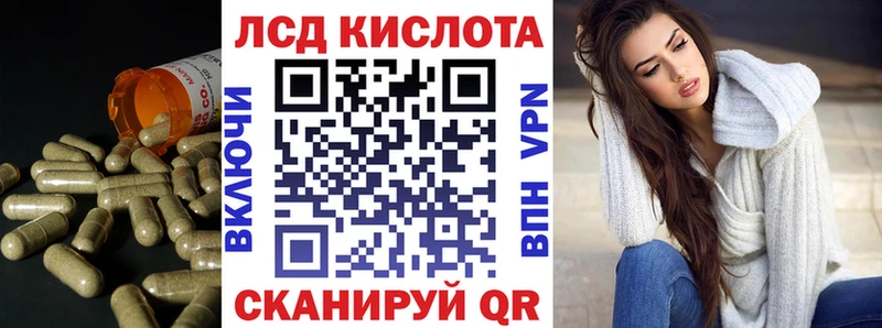 kraken как зайти  Горняк  ЛСД экстази ecstasy 